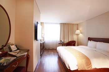Standard Double Room (Bigger than most in Seoul )