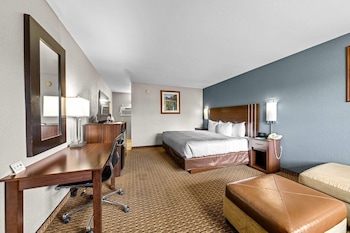 Room, 1 King Bed with Sofa bed, Non Smoking