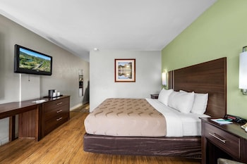 Room, 1 Queen Bed, Non Smoking (Pet Friendly)