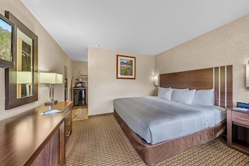 Standard Room, 1 King Bed, Non Smoking