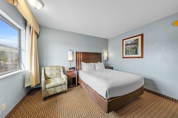 Room, 1 Queen Bed, Non Smoking
