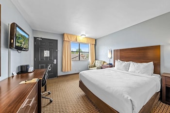 Standard Room, 1 King Bed, Non Smoking