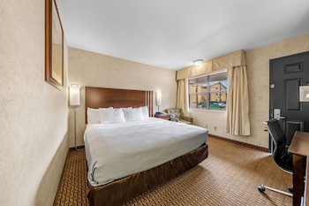Standard Room, 1 King Bed, Non Smoking