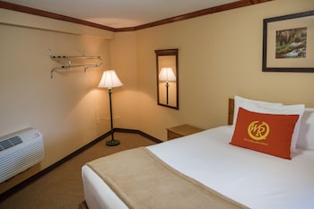 1 Queen Bed - Poolside