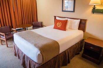 2 Queen Beds - Poolside