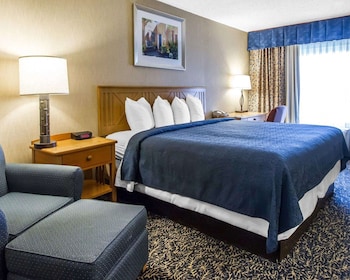 Standard Room, 1 King Bed, Non Smoking