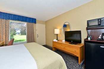 Standard Room, 1 King Bed, Non Smoking