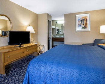 Standard Room, 1 King Bed, Non Smoking