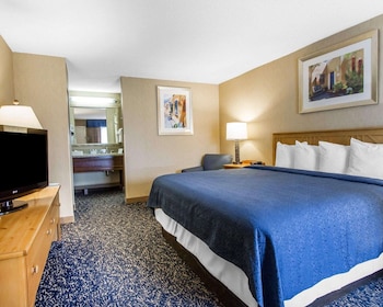 Standard Room, 1 King Bed, Non Smoking