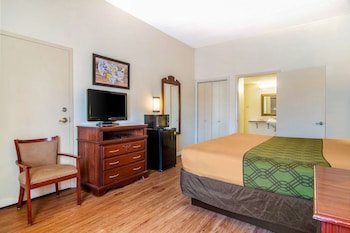 Room, 1 King Bed, Accessible, Smoking