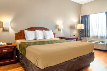 Room, 1 King Bed, Accessible, Smoking