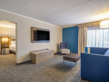 Suite, 1 King Bed with Sofa bed