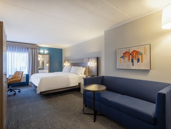 Studio Suite, 1 King Bed with Sofa bed