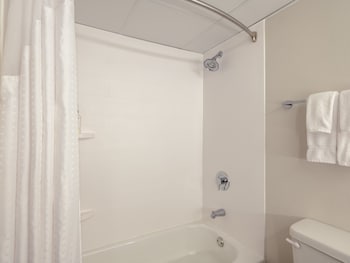 Suite, Multiple Beds