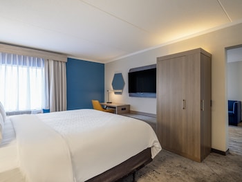 Suite, 1 King Bed with Sofa bed