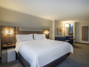 Studio Suite, 1 King Bed with Sofa bed