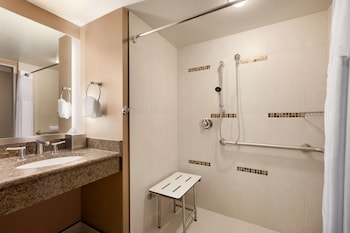 Room, 1 King Bed, Accessible (Roll-In Shower)