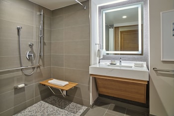 Room, 1 King Bed