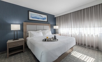 Executive Suite, 1 King Bed with Sofa bed Not pet friendly
