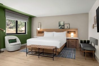 Suite, 1 King Bed (Mobility/Hearing Access, Roll-In Shwr)
