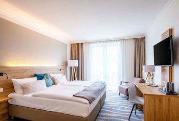 Business Room, 1 Double Bed, Non Smoking