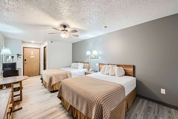 Room, 1 Queen Bed, Non Smoking
