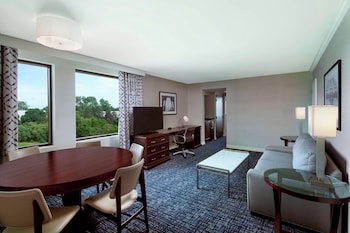 Business Suite, 1 King Bed with Sofa bed