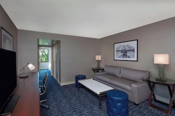 Comfort Suite, 1 King Bed with Sofa bed