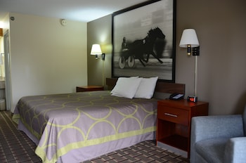 Room, 1 King Bed, Smoking