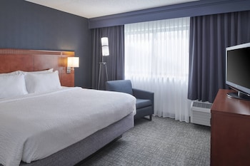 Suite, 1 King Bed with Sofa bed