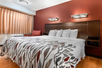Superior Room, 1 King Bed, Non Smoking