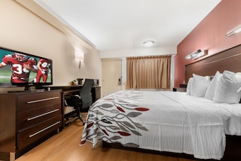 Superior Room, 1 King Bed, Accessible, Non Smoking (Roll-In Shower)