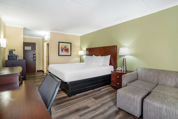 Standard Room, 1 King Bed, Non Smoking, Refrigerator & Microwave