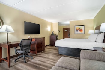 Standard Room, 1 King Bed, Non Smoking, Refrigerator & Microwave
