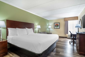 Standard Room, 1 King Bed, Non Smoking, Refrigerator & Microwave