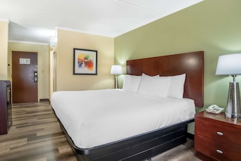 Standard Room, 1 King Bed, Non Smoking, Refrigerator & Microwave