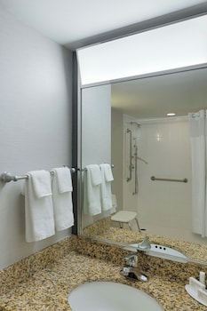 Room, 1 Queen Bed, Accessible Bathtub