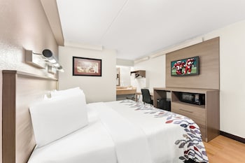 Standard Room, 1 King Bed (Smoke Free)