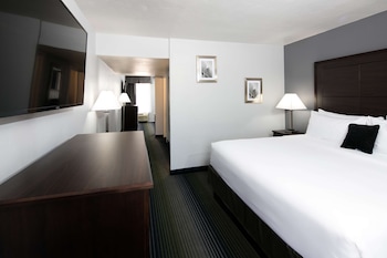 Junior Suite, 1 King Bed with Sofa bed, Accessible