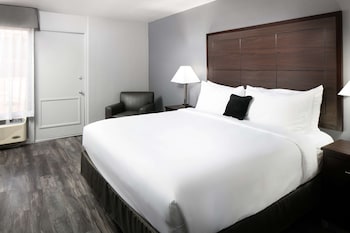 Basic Room, 1 King Bed