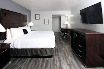 Basic Room, 1 King Bed