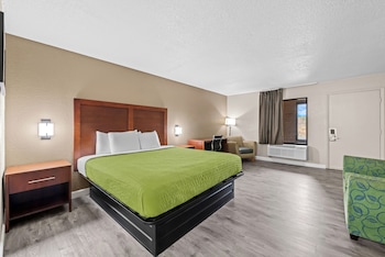 Room, 1 King Bed, Accessible, Non Smoking