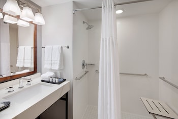 Traditional Room, 1 King Bed (Mobility Accessible, Roll-In Shower)