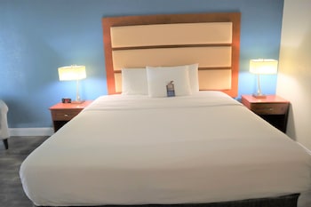 Room, 1 King Bed, Non Smoking
