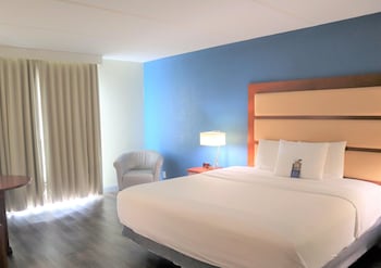 Room, 1 King Bed, Non Smoking