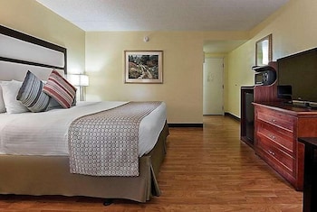 Room, 1 King Bed, Non Smoking