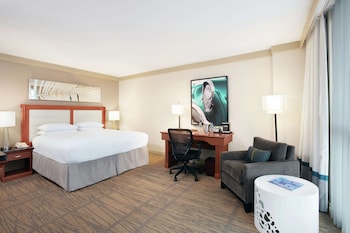 Room, 1 King Bed, Accessible (Hearing)