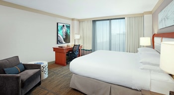Room, 1 King Bed with Sofa bed