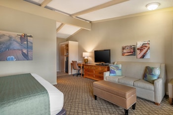 Room, 1 King Bed, Non Smoking, Jetted Tub