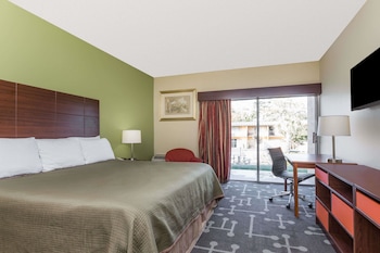 Standard Room, 1 King Bed